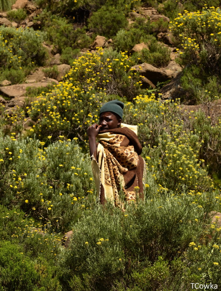 https://www.baobabtrails.com/wp-content/uploads/2018/11/COW2733-2.jpg