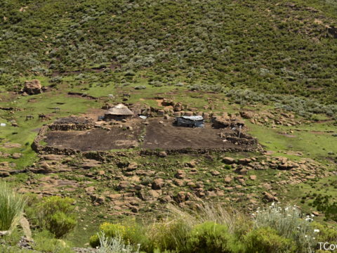 https://www.baobabtrails.com/wp-content/uploads/2018/11/COW2803-2.jpg