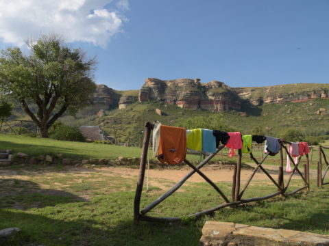 https://www.baobabtrails.com/wp-content/uploads/2018/11/COW_8557-1.jpg