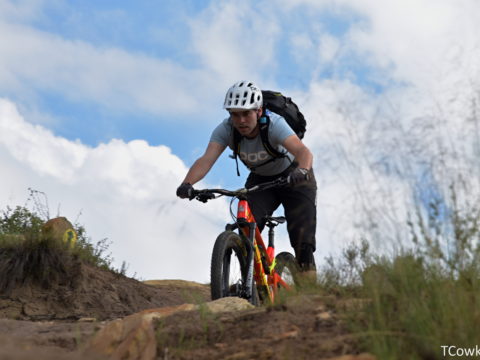https://www.baobabtrails.com/wp-content/uploads/2018/11/COW_8607-2.jpg