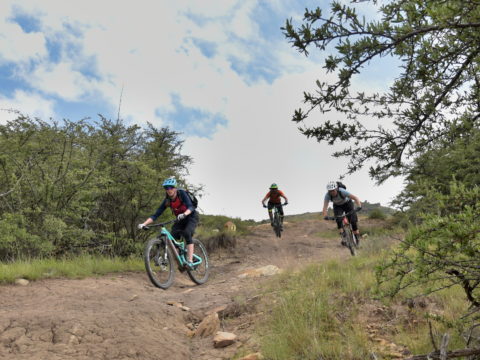 https://www.baobabtrails.com/wp-content/uploads/2018/11/COW_8656-2-2.jpg