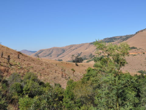 https://www.baobabtrails.com/wp-content/uploads/2022/03/DSC_0807.jpg